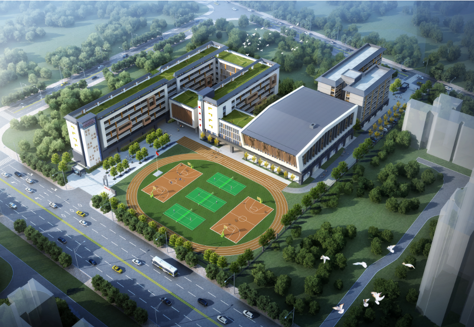 隆安縣城北小學項目